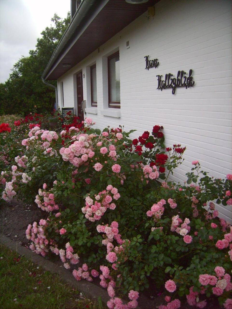 Haus-Halligblick-Ferienwohnung-Hamburger-Hallig Dagebüll エクステリア 写真