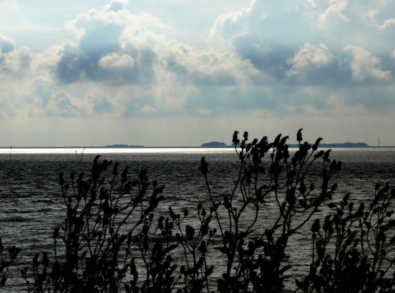 Haus-Halligblick-Ferienwohnung-Hamburger-Hallig Dagebüll エクステリア 写真