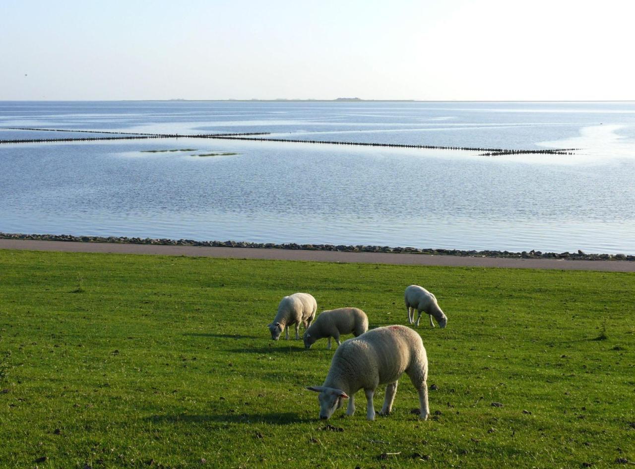 Haus-Halligblick-Ferienwohnung-Hamburger-Hallig Dagebüll エクステリア 写真