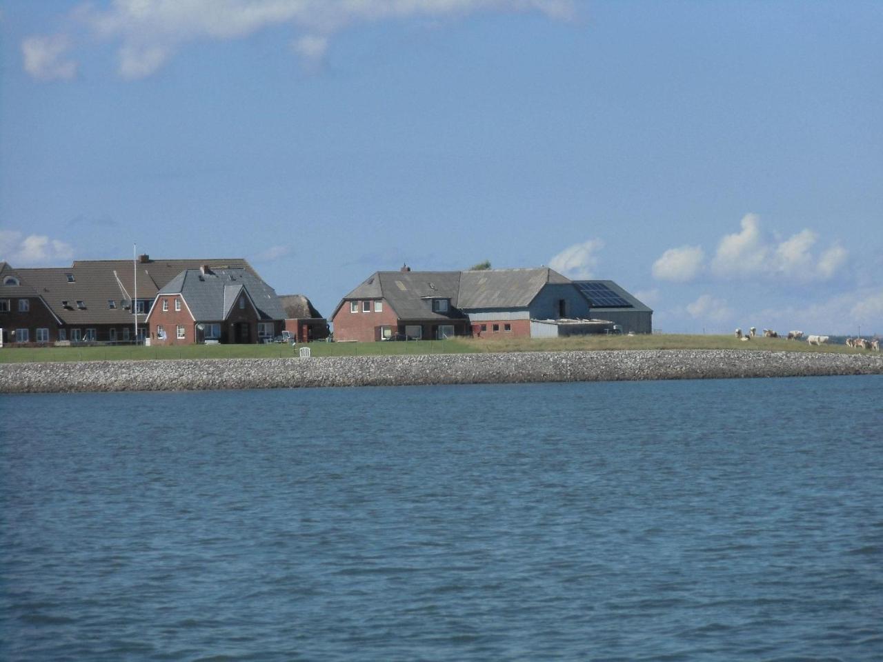 Haus-Halligblick-Ferienwohnung-Hamburger-Hallig Dagebüll エクステリア 写真
