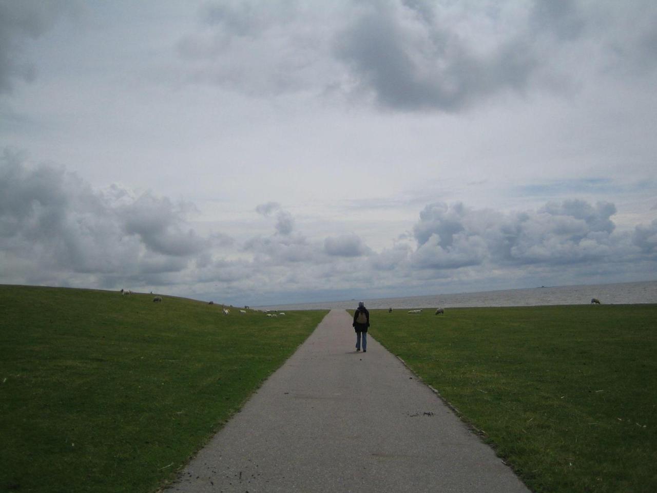 Haus-Halligblick-Ferienwohnung-Hamburger-Hallig Dagebüll エクステリア 写真